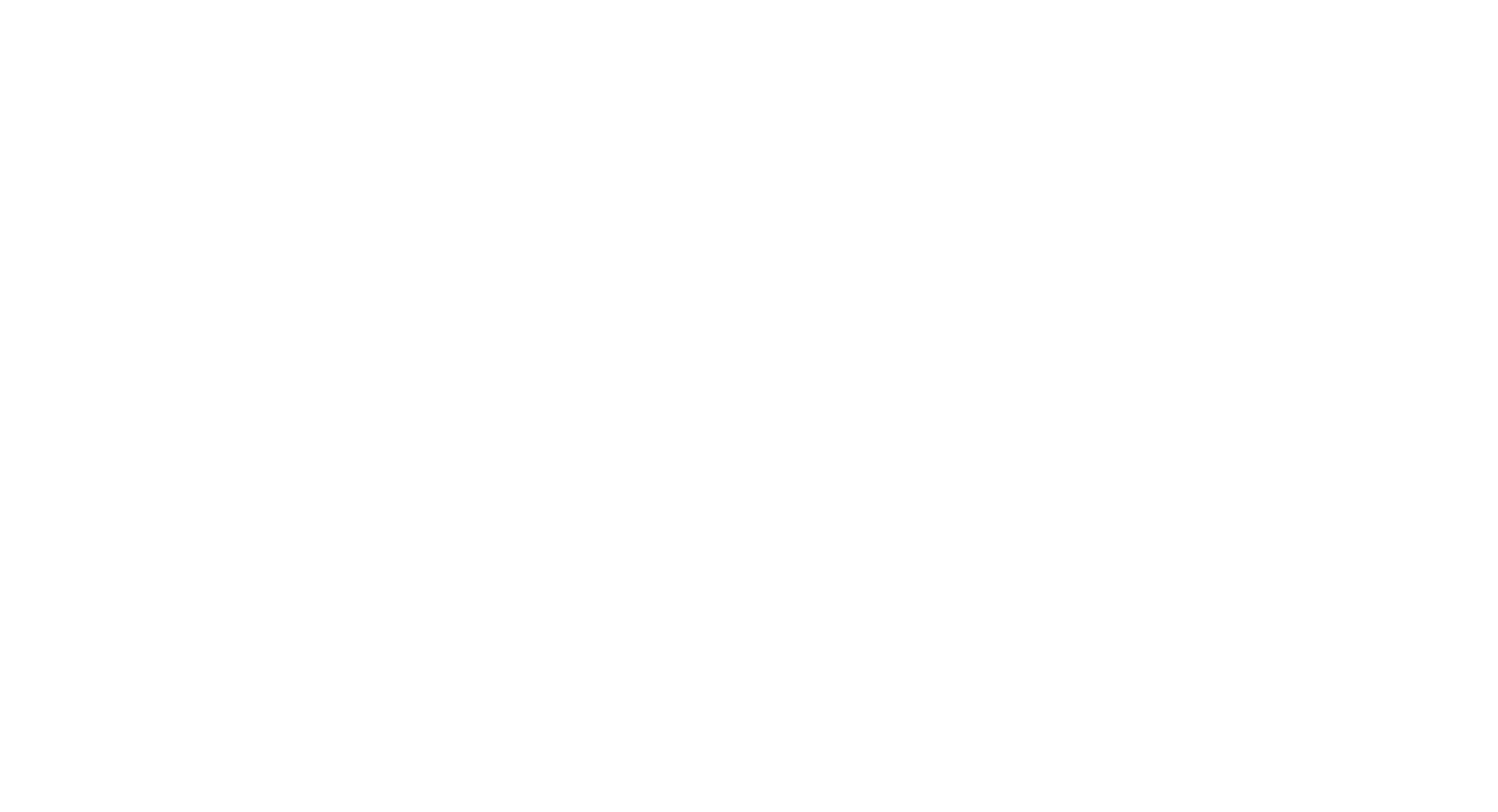 Velora Logo